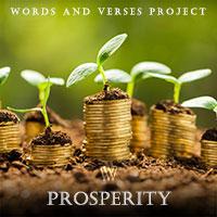 Example album: prosperity